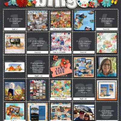 DSD Bingo final
