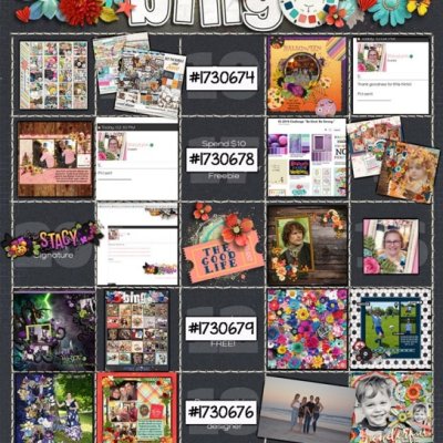 DSD Bingo 2019