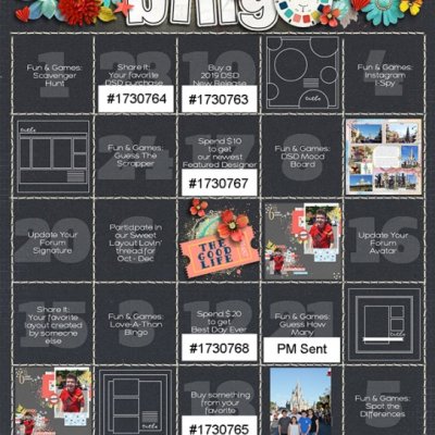 DSD Bingo