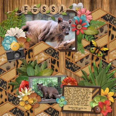 Fossa