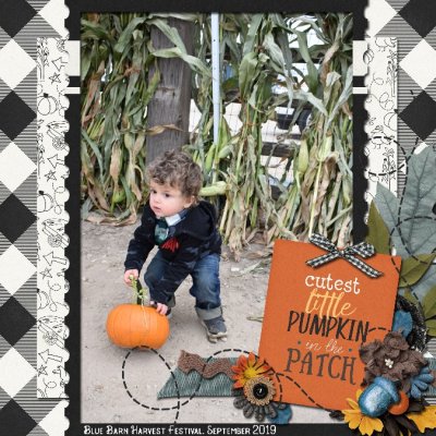 Oct Passport #10: Cutest Little Pumpkin
