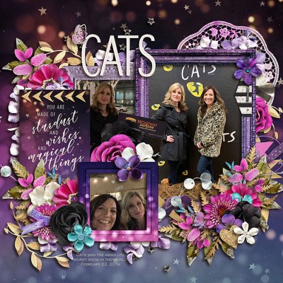 Cats