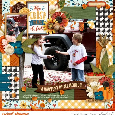 A Harvest of Memories