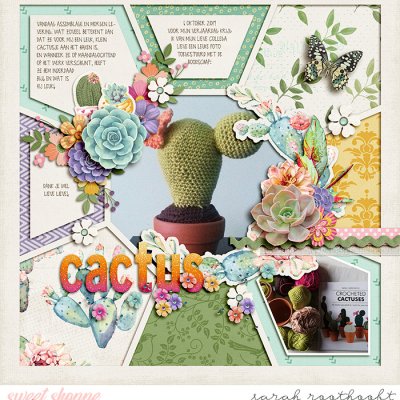 Cactus