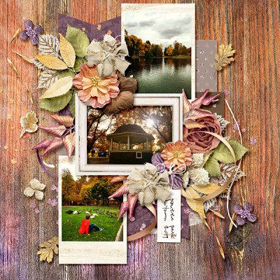 Pioneer Park Autumn 2019