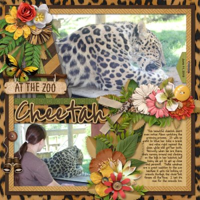Cheetah