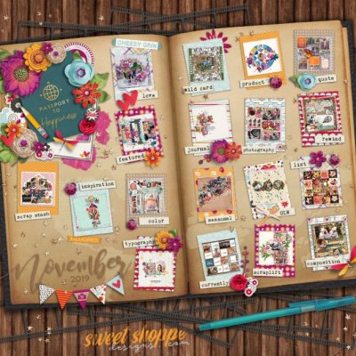 Nov2019_passport