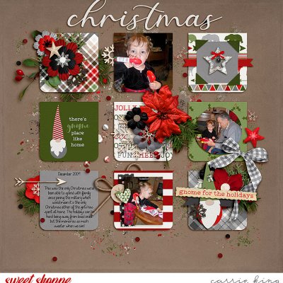Gnome for Christmas