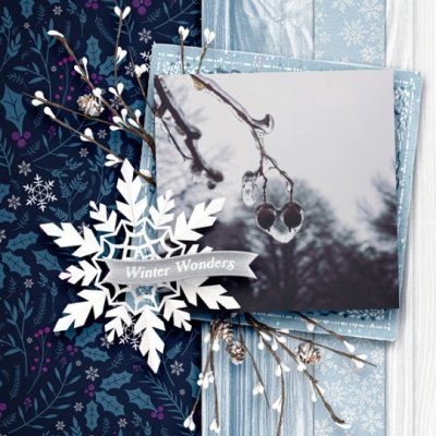 WinterWonders