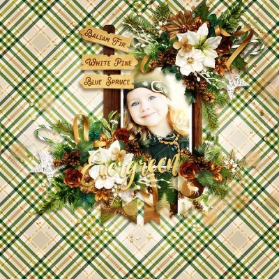A Woodland Christmas: Evergreen Dreams