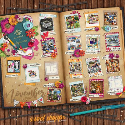 Nov passport challenges