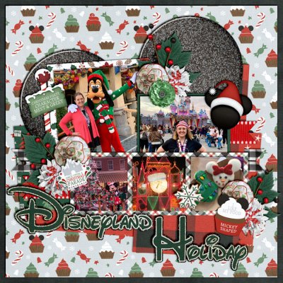 Disneyland Holiday