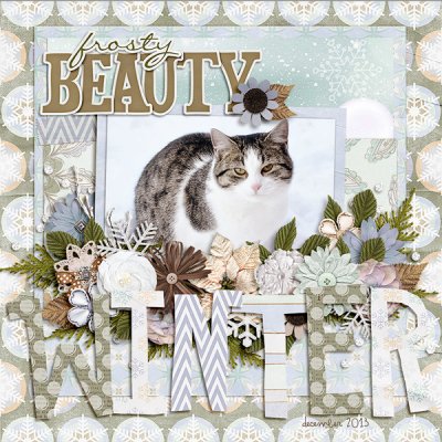 winter beauty