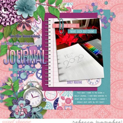 Bullet Journal