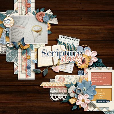 Scripture Study