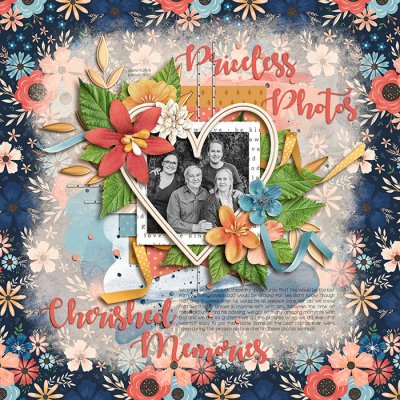 Priceless Photos, Cherished Memories