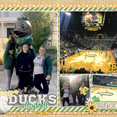 Ducks Volleyball