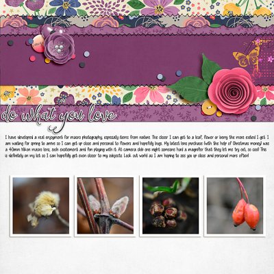 February 2020 Passport to Passion: 12:Composition-By Thirds