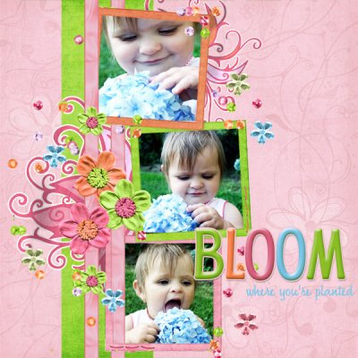 Bloom
