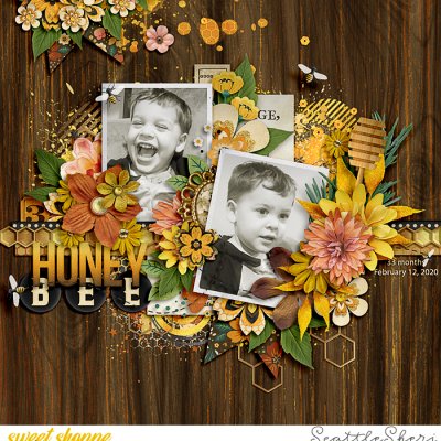 Honey Bee