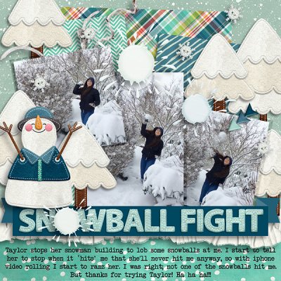 2017 Go ahead, Thow that Snowball