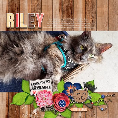 Riley
