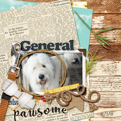 General
