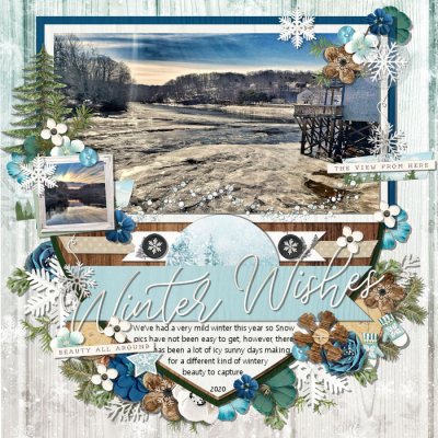 Winter Wishes