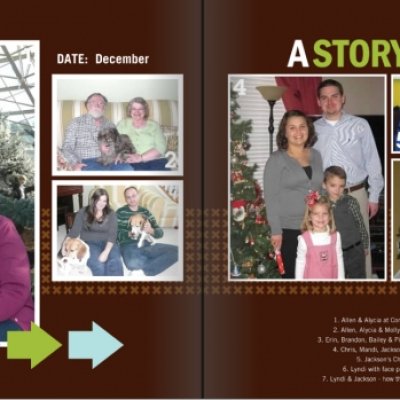 2011 pages