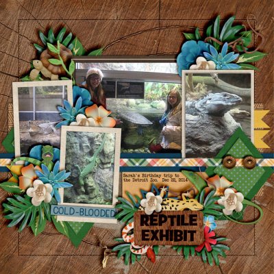 Reptile Exhibit