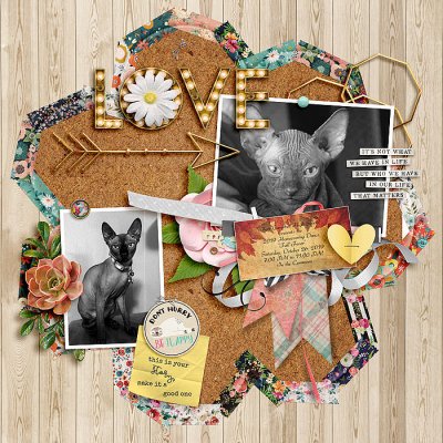 B's Corkboard