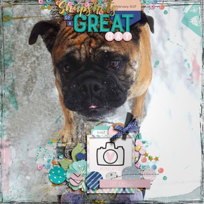 Snapshots