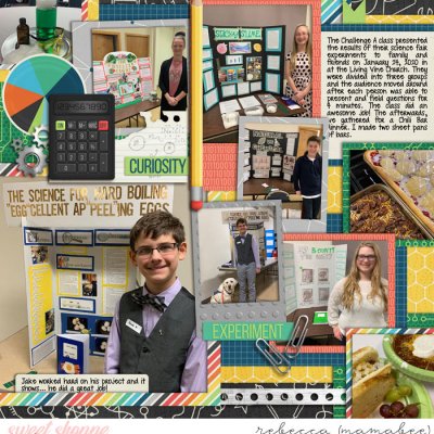 Science Fair - Right