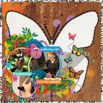 Butterfly Visit