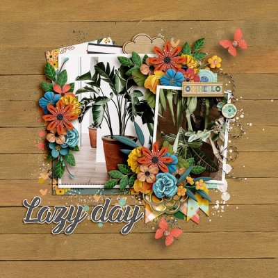 Lazy Day