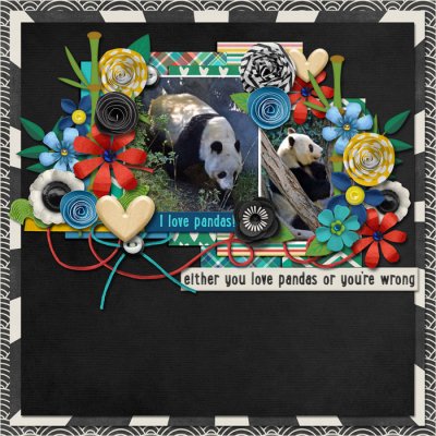 panda