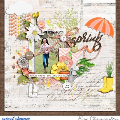 spring