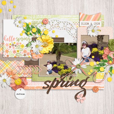 spring