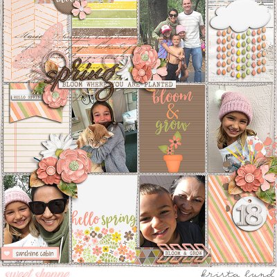 2018 Hello Spring at Sunshine Cabin