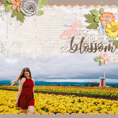 ~Let Your Dreams Blossom~