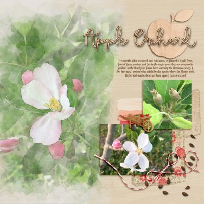 Apple Blossoms #4 Inspired by Watercolors