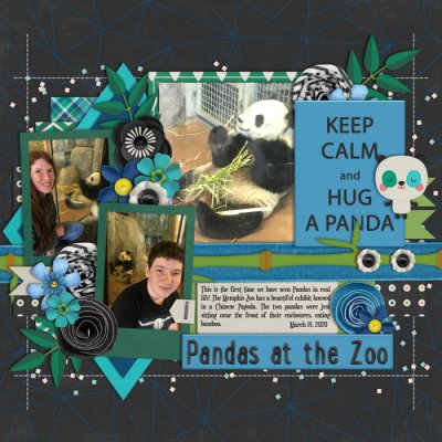 #2 Product Pandas at the Zoo