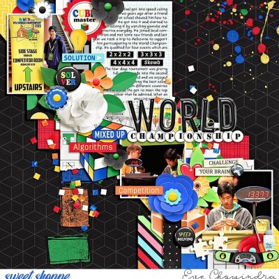 world championship