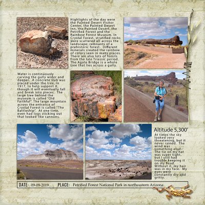 Petrified Forest