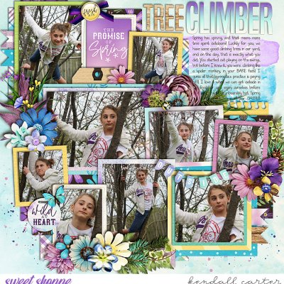 Tree Climber
