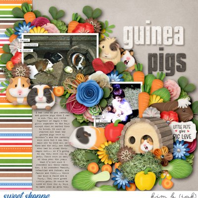 Guinea Pigs