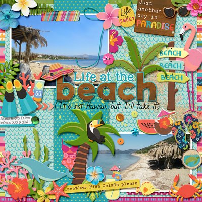 Life at the beach