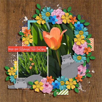 Tulips