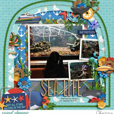 Sea Life