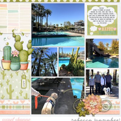 AZ 2019_poolside_right